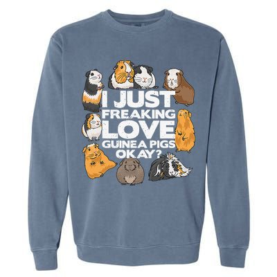Guinea Pig Guinea Pig Lover Tee Funny Guinea Pig Garment-Dyed Sweatshirt