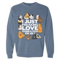 Guinea Pig Guinea Pig Lover Tee Funny Guinea Pig Garment-Dyed Sweatshirt