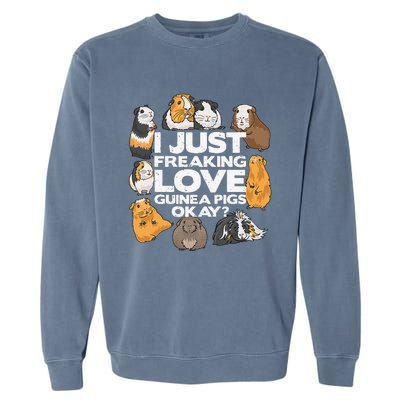 Guinea Pig Guinea Pig Lover Tee Funny Guinea Pig Garment-Dyed Sweatshirt