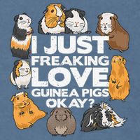 Guinea Pig Guinea Pig Lover Tee Funny Guinea Pig Garment-Dyed Sweatshirt