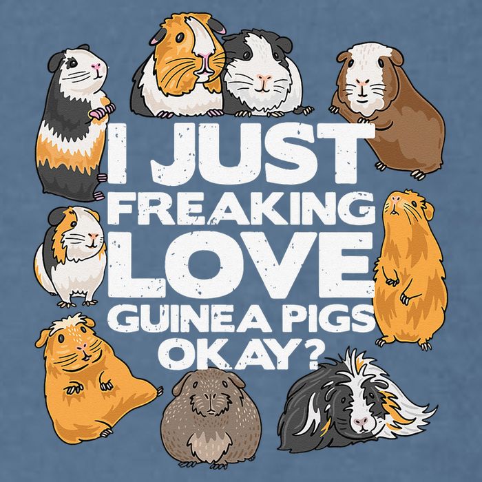 Guinea Pig Guinea Pig Lover Tee Funny Guinea Pig Garment-Dyed Sweatshirt