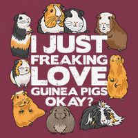 Guinea Pig Guinea Pig Lover Tee Funny Guinea Pig 16oz Travel Tumbler