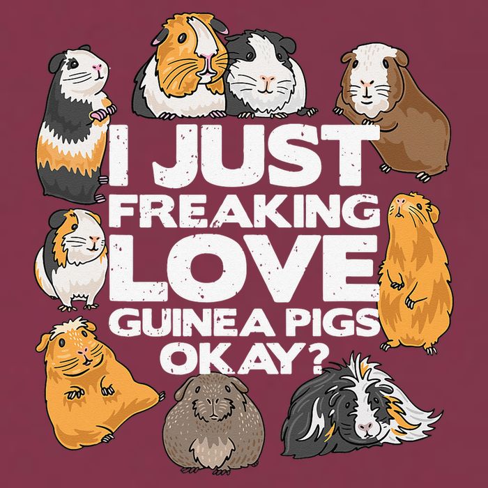 Guinea Pig Guinea Pig Lover Tee Funny Guinea Pig 16oz Travel Tumbler