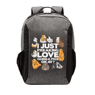 Guinea Pig Guinea Pig Lover Tee Funny Guinea Pig Vector Backpack