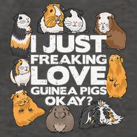 Guinea Pig Guinea Pig Lover Tee Funny Guinea Pig Vector Backpack