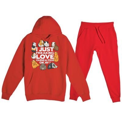 Guinea Pig Guinea Pig Lover Tee Funny Guinea Pig Premium Hooded Sweatsuit Set