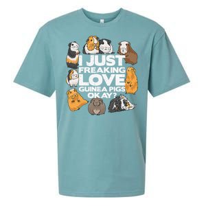 Guinea Pig Guinea Pig Lover Tee Funny Guinea Pig Sueded Cloud Jersey T-Shirt