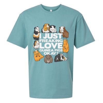 Guinea Pig Guinea Pig Lover Tee Funny Guinea Pig Sueded Cloud Jersey T-Shirt