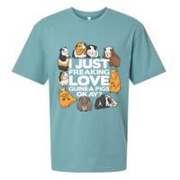 Guinea Pig Guinea Pig Lover Tee Funny Guinea Pig Sueded Cloud Jersey T-Shirt