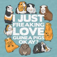 Guinea Pig Guinea Pig Lover Tee Funny Guinea Pig Sueded Cloud Jersey T-Shirt