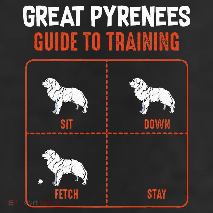 Great Pyrenees Guide To Training Funny Dog Pet Lover Adult Drive Performance Visor