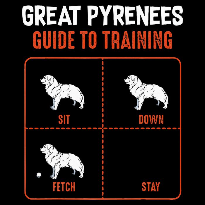 Great Pyrenees Guide To Training Funny Dog Pet Lover 16 in Basic Backpack
