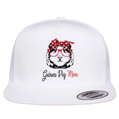 Guinea Pig Flatbill Hat