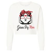 Guinea Pig Cropped Pullover Crew