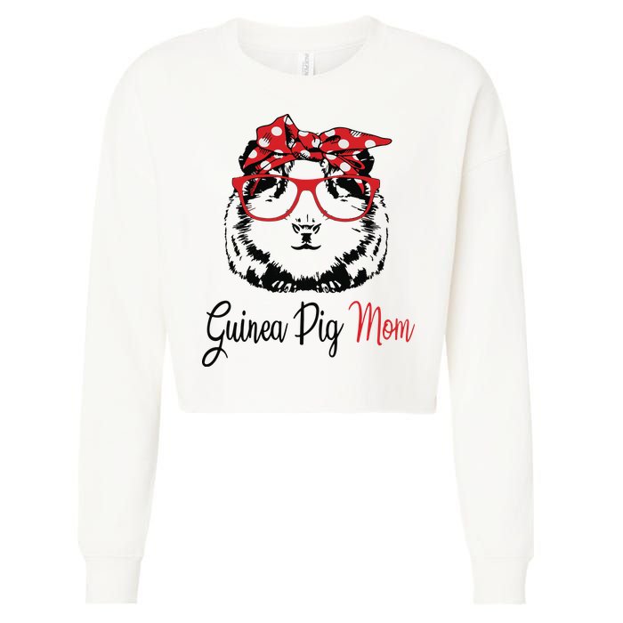 Guinea Pig Cropped Pullover Crew