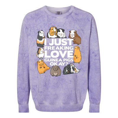 Guinea Pig Guinea Pig Lover Tee Funny Guinea Pig Colorblast Crewneck Sweatshirt