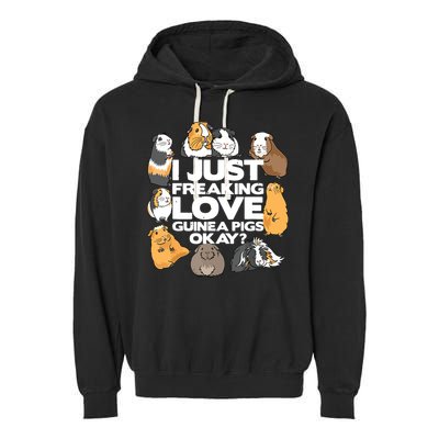 Guinea Pig Guinea Pig Lover Tee Funny Guinea Pig Garment-Dyed Fleece Hoodie