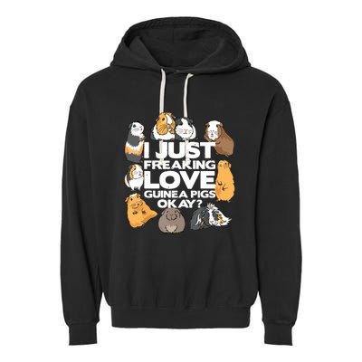 Guinea Pig Guinea Pig Lover Tee Funny Guinea Pig Garment-Dyed Fleece Hoodie