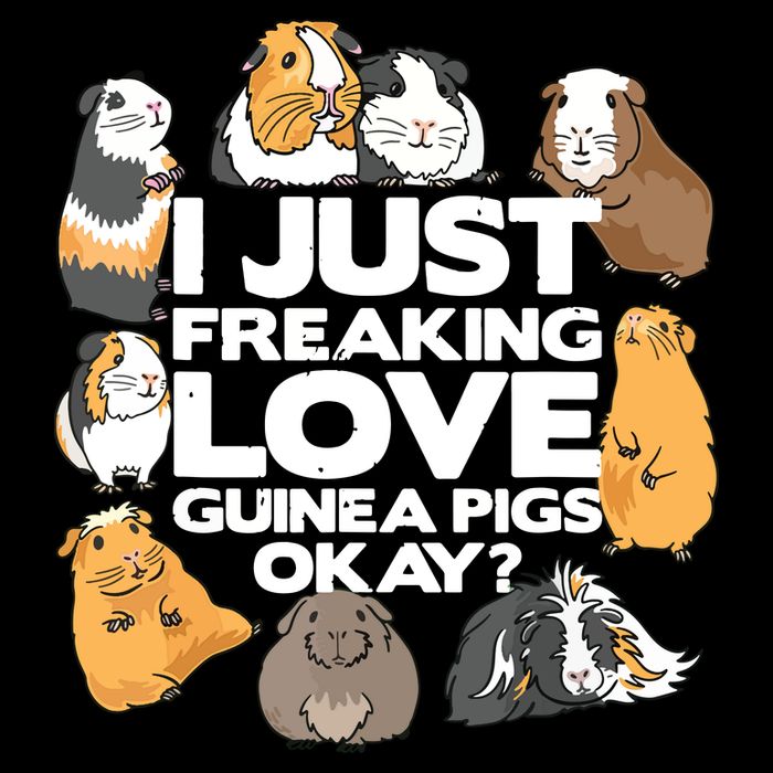 Guinea Pig Guinea Pig Lover Tee Funny Guinea Pig Flexfit Unipanel Trucker Cap