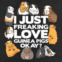 Guinea Pig Guinea Pig Lover Tee Funny Guinea Pig Hat