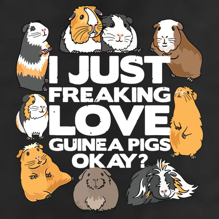 Guinea Pig Guinea Pig Lover Tee Funny Guinea Pig Hat