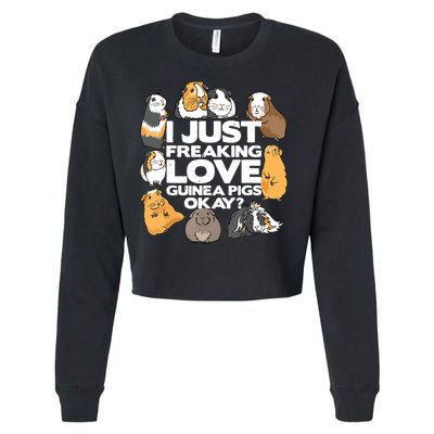 Guinea Pig Guinea Pig Lover Tee Funny Guinea Pig Cropped Pullover Crew