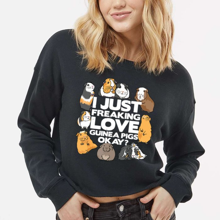 Guinea Pig Guinea Pig Lover Tee Funny Guinea Pig Cropped Pullover Crew