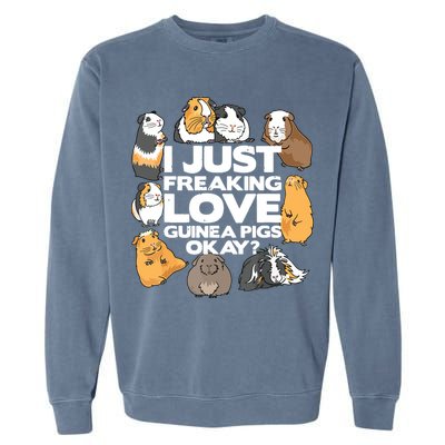 Guinea Pig Guinea Pig Lover Tee Funny Guinea Pig Garment-Dyed Sweatshirt
