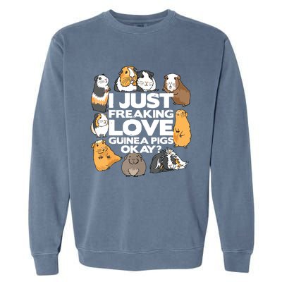 Guinea Pig Guinea Pig Lover Tee Funny Guinea Pig Garment-Dyed Sweatshirt