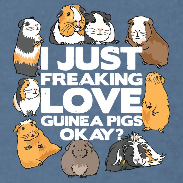Guinea Pig Guinea Pig Lover Tee Funny Guinea Pig Garment-Dyed Sweatshirt
