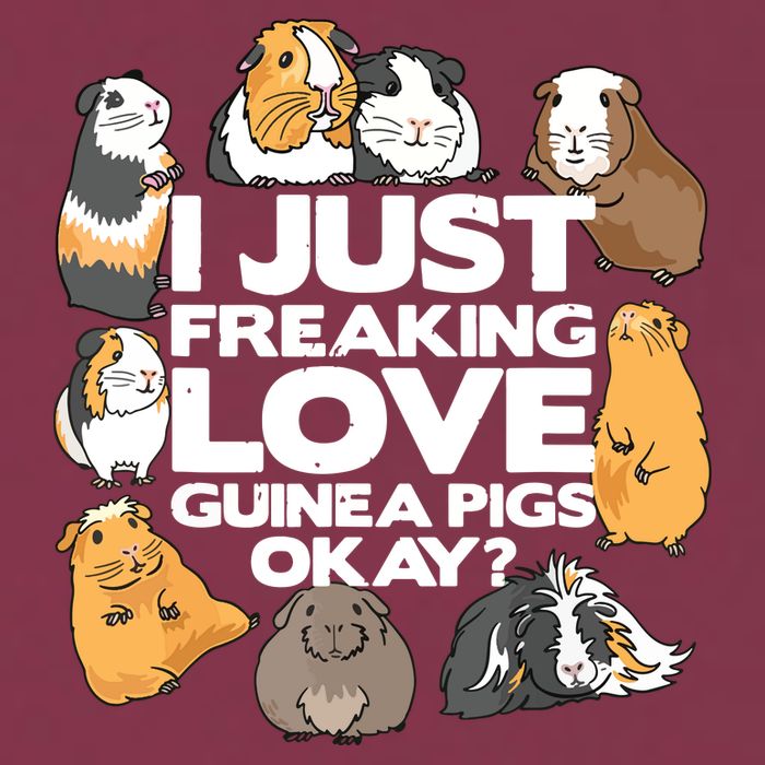 Guinea Pig Guinea Pig Lover Tee Funny Guinea Pig 16oz Travel Tumbler