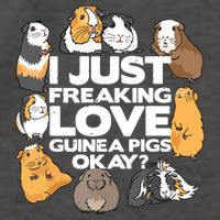 Guinea Pig Guinea Pig Lover Tee Funny Guinea Pig Vector Backpack