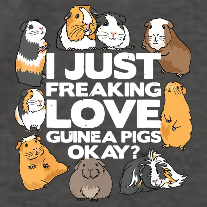 Guinea Pig Guinea Pig Lover Tee Funny Guinea Pig Vector Backpack