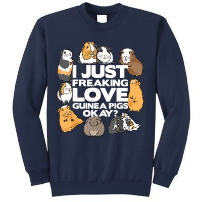 Guinea Pig Guinea Pig Lover Tee Funny Guinea Pig Sweatshirt