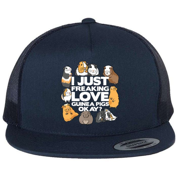 Guinea Pig Guinea Pig Lover Tee Funny Guinea Pig Flatbill Hat