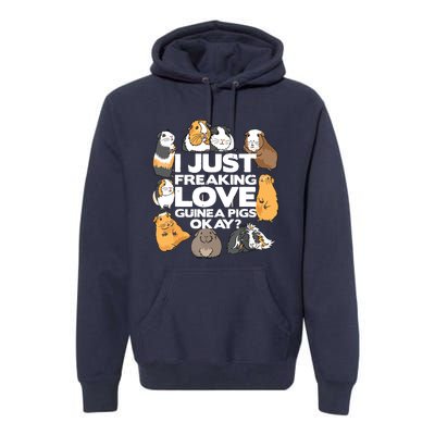 Guinea Pig Guinea Pig Lover Tee Funny Guinea Pig Premium Hoodie