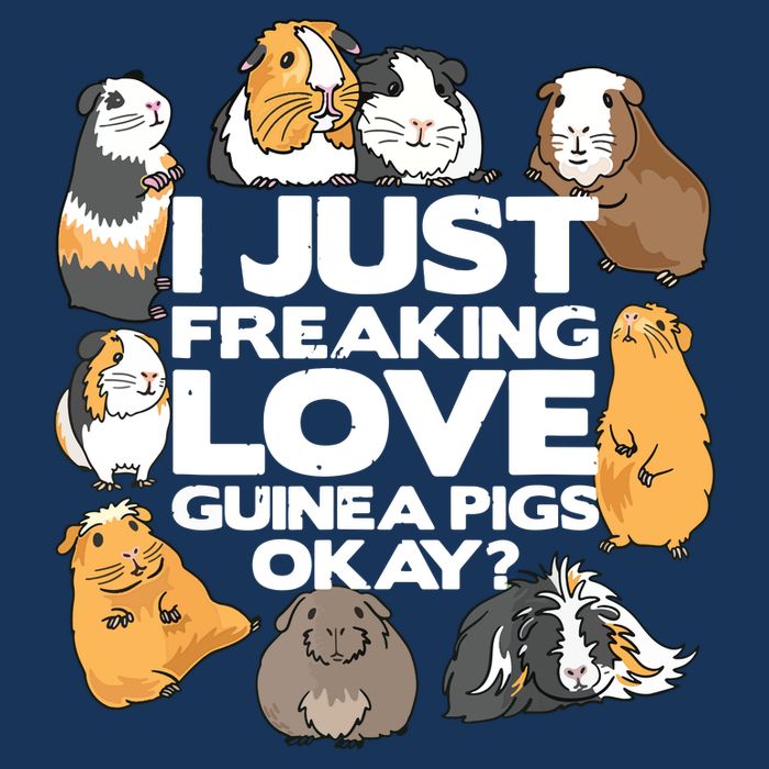 Guinea Pig Guinea Pig Lover Tee Funny Guinea Pig 16 in Basic Backpack