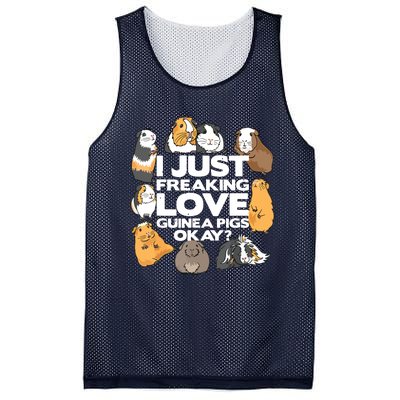 Guinea Pig Guinea Pig Lover Tee Funny Guinea Pig Mesh Reversible Basketball Jersey Tank