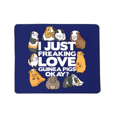 Guinea Pig Guinea Pig Lover Tee Funny Guinea Pig Mousepad