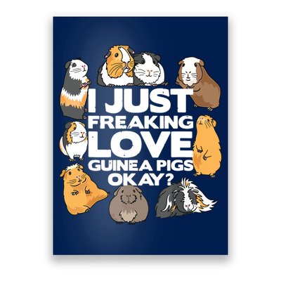 Guinea Pig Guinea Pig Lover Tee Funny Guinea Pig Poster