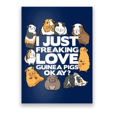 Guinea Pig Guinea Pig Lover Tee Funny Guinea Pig Poster