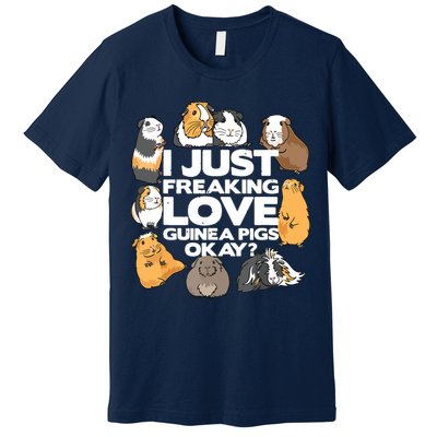 Guinea Pig Guinea Pig Lover Tee Funny Guinea Pig Premium T-Shirt
