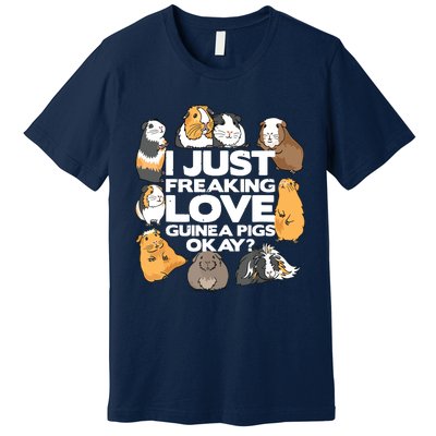 Guinea Pig Guinea Pig Lover Tee Funny Guinea Pig Premium T-Shirt