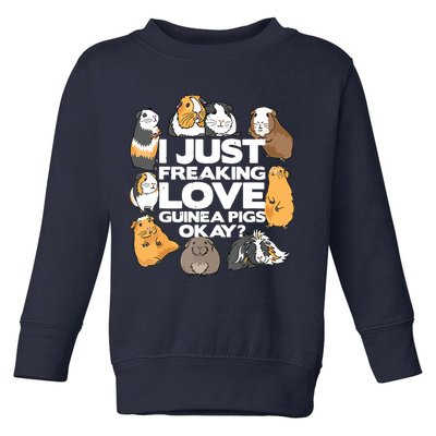 Guinea Pig Guinea Pig Lover Tee Funny Guinea Pig Toddler Sweatshirt