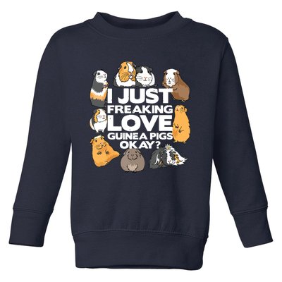 Guinea Pig Guinea Pig Lover Tee Funny Guinea Pig Toddler Sweatshirt