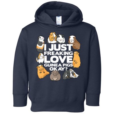 Guinea Pig Guinea Pig Lover Tee Funny Guinea Pig Toddler Hoodie