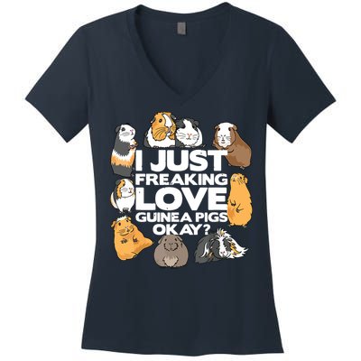Guinea Pig Guinea Pig Lover Tee Funny Guinea Pig Women's V-Neck T-Shirt