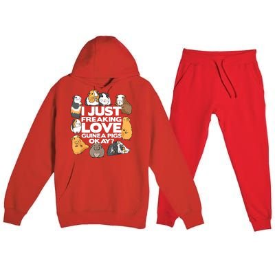 Guinea Pig Guinea Pig Lover Tee Funny Guinea Pig Premium Hooded Sweatsuit Set