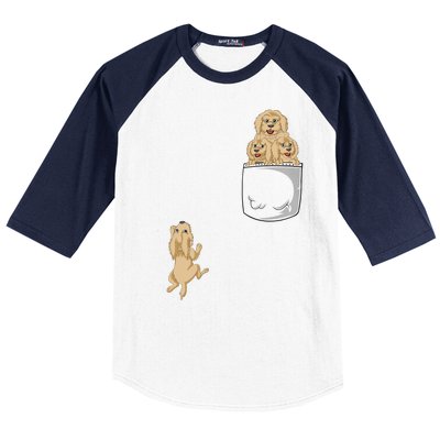 Goldendoodle Pocket Baseball Sleeve Shirt