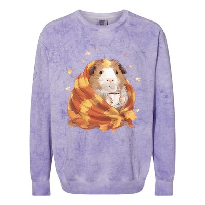 Guinea Pig In A Blanket Coffee Cups Autumn Fall Thanksgiving Colorblast Crewneck Sweatshirt